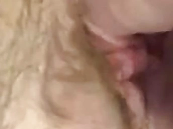 Lexii Sapphire pounds will not hear of creamy pussy with a massive dildo and a pearly muff